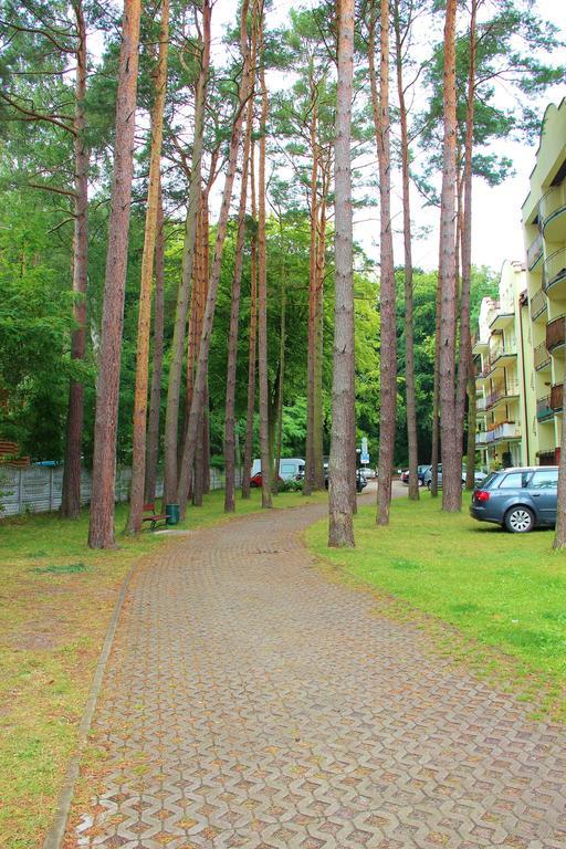 Smm Apartament Gryf Morskie Oko 米兹多洛杰 客房 照片